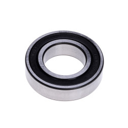 FAG GULTNIS 6005 2RSR