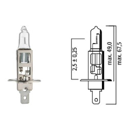 H1 12/55KL 86202Z SPULDZE