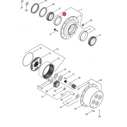 L31698 GULTNIS