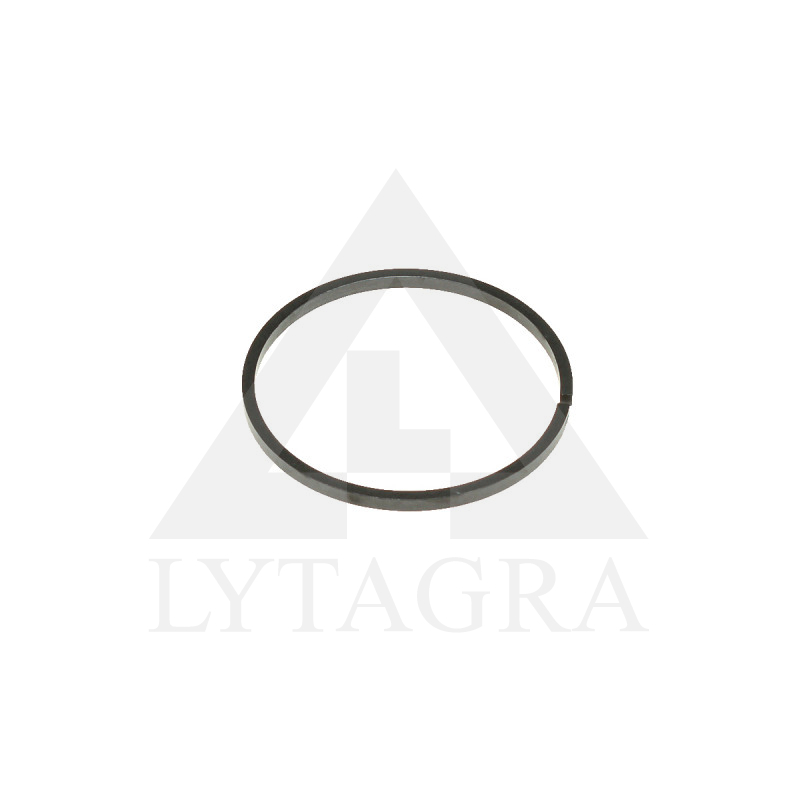 5195945 BLĪVSLĒGS
