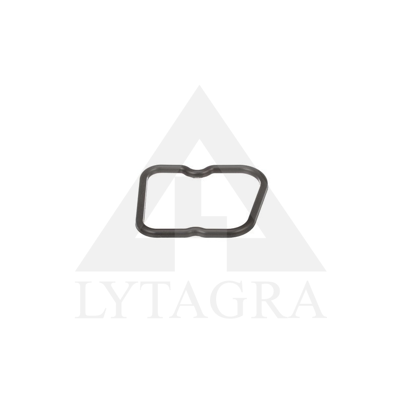 504053522 VĀRSTU VĀKA BLĪVE