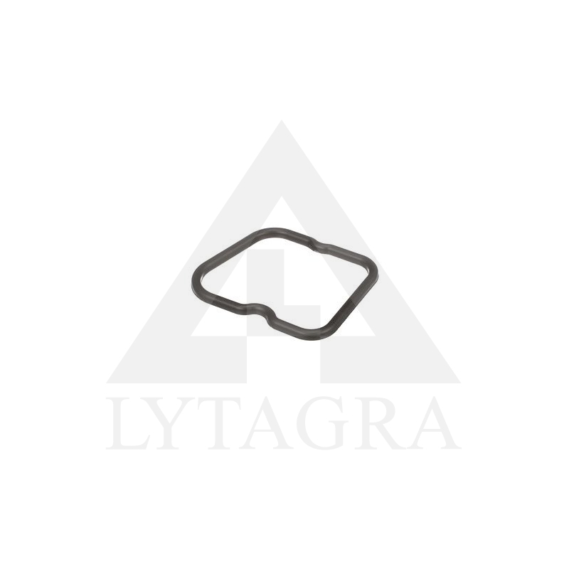504053522 VĀRSTU VĀKA BLĪVE