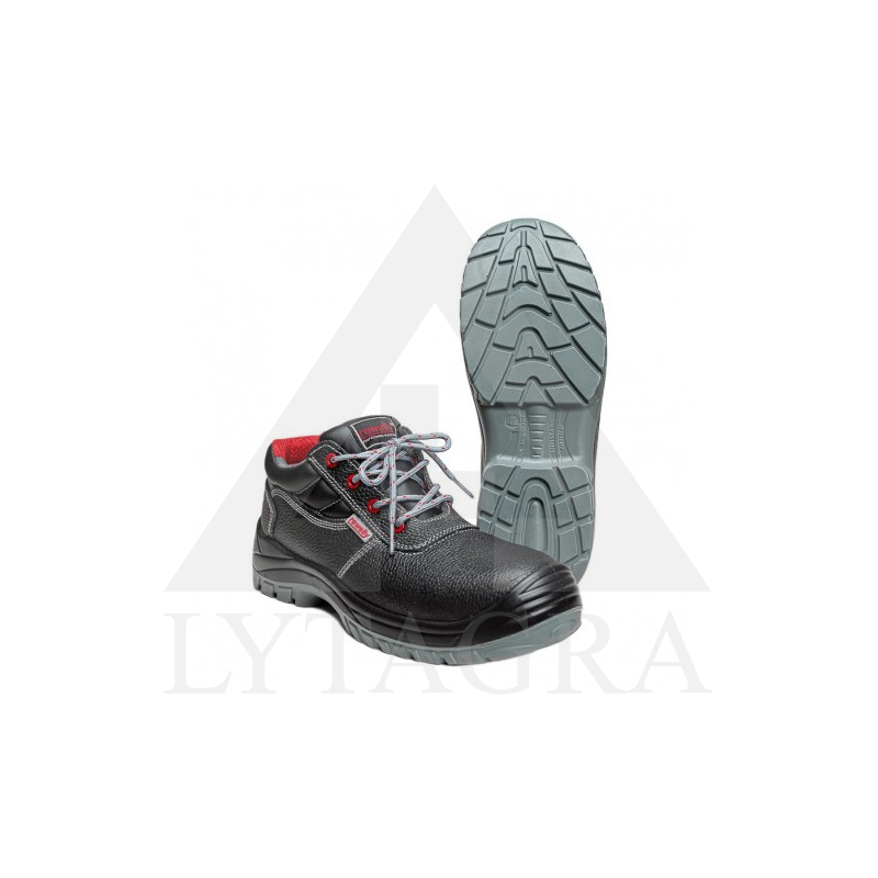 ĀDAS ZĀBAKI MONRO RTX 44 S3 BAOD1-MON6/44