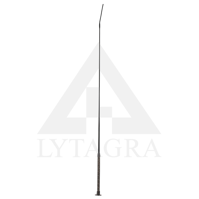 42133-G-110 PĀTAGA ZIRGU DRESŪRAI