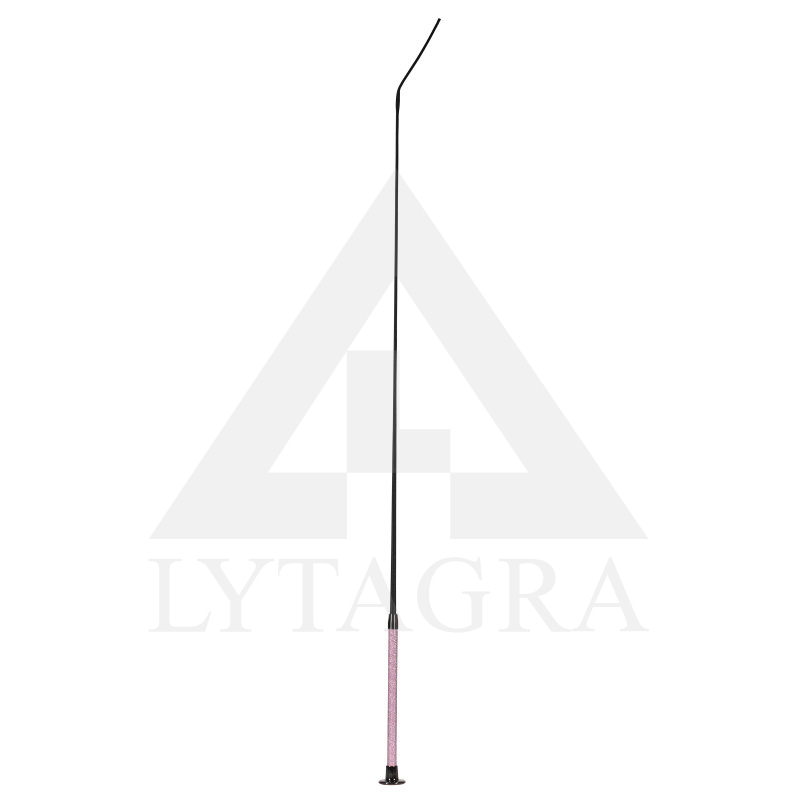 42133-PI-110 PĀTAGA ZIRGU DRESŪRAI