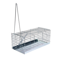 0031A0000 SLAZDS PELĒM 31CM