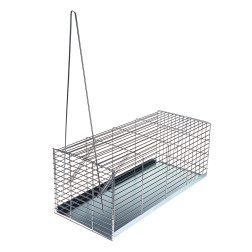 0050A0000 SLAZDS PELĒM 41CM