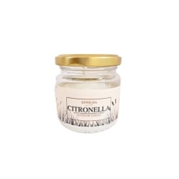 C-215 SVECE PRET ODIEM STIKLĀ