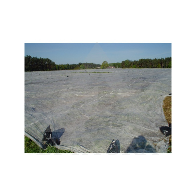 AGROFILL 19 g/m2 1,6 m (100 m) BALTS