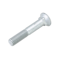 00310074 Kaltu skrūves M 12x70