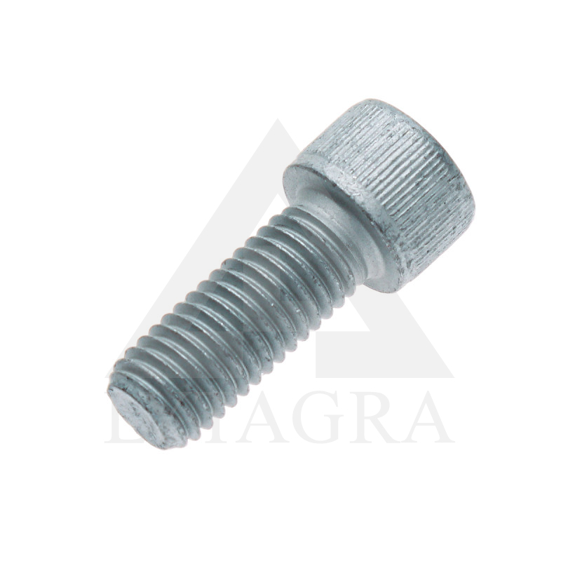 00370297 SKRŪVE M12x30