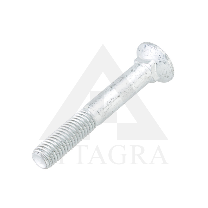 00310808  SKRŪVE M12x85-12.9