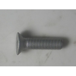 00370411 SKRŪVE M16X60