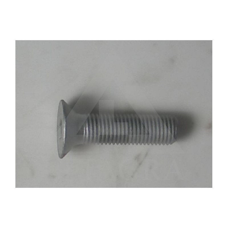 00370411 SKRŪVE M16X60