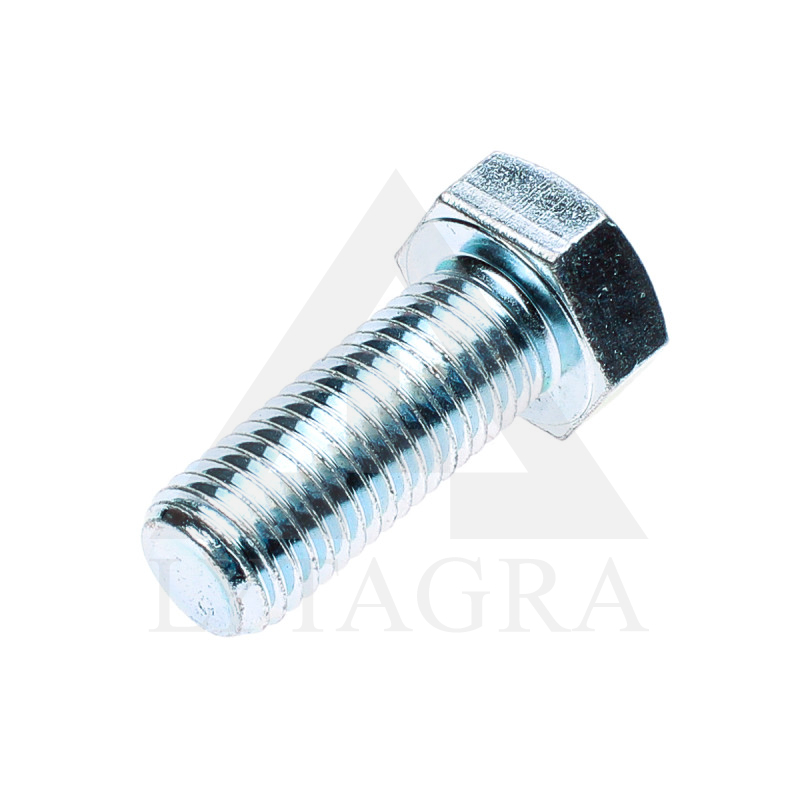 00360158 SKRŪVE M20X50