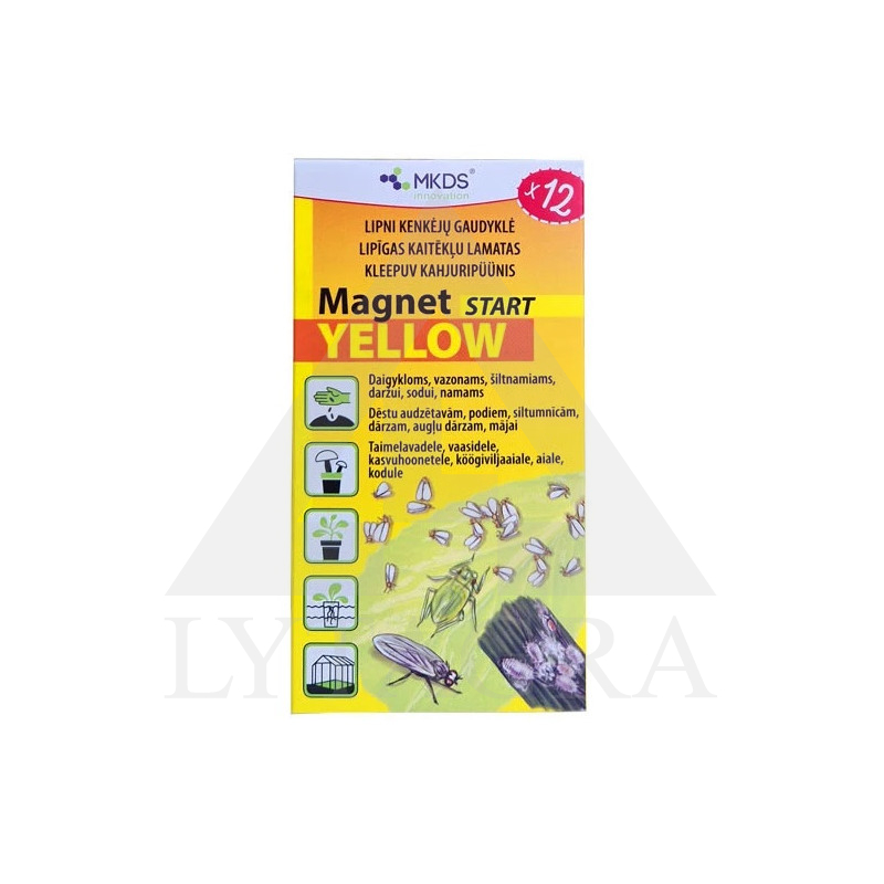 3005930 Magnēta starta dzeltens 12 gab. 3005930 Magnēta starta dzeltens 12 gab.