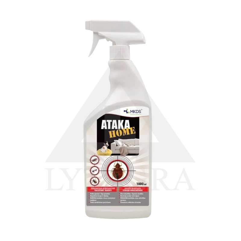 3005894 UZBRUKUMA MĀJAS 1L