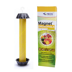 MAGNET Drosophila augļu mušu slazds