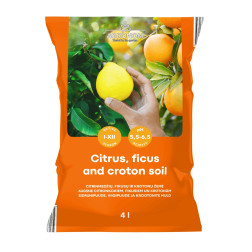AGR_P AUGSNE Citrusiem 4 LITRI