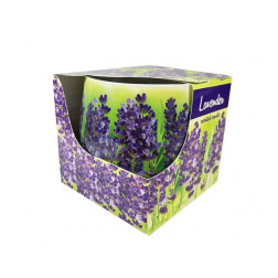 AROMĀTISKĀ SVECE STIKLA TRAUKĀ LAVANDA 1 GAB.