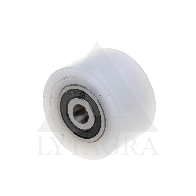 RITENIS D 55 / R-55