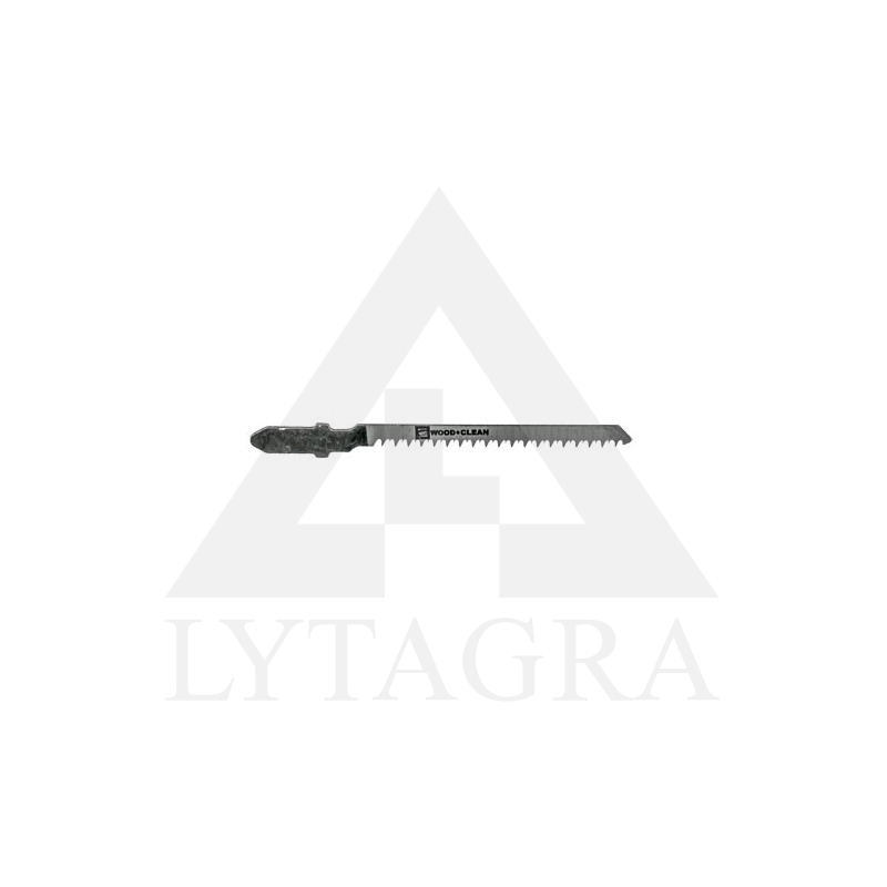 1312 ZĀĢA ASMEŅI T 101AO 5GB. / EGA