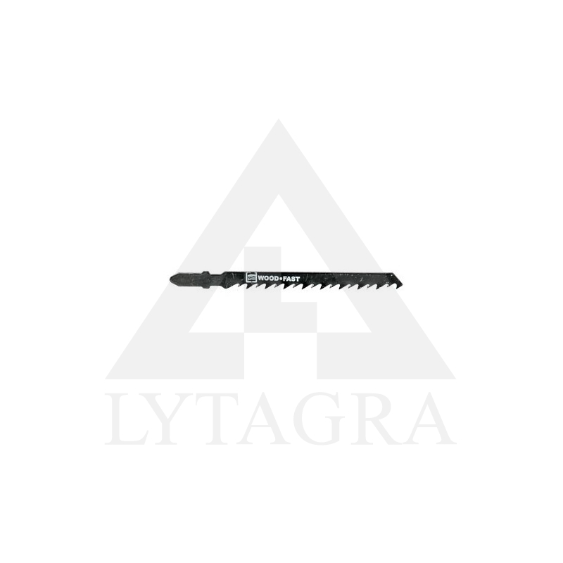 1315 ZĀĢA ASMEŅI T 144D 5GB. / EGA