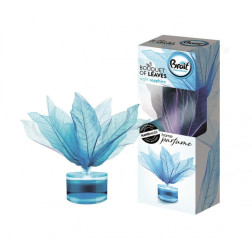 Gaisa atsvaidzinātājs, augļu aromāts