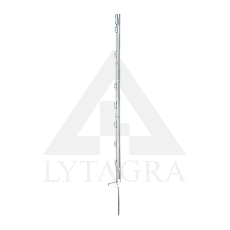 441803 EL.GANA MIETS TITAN, 157cm