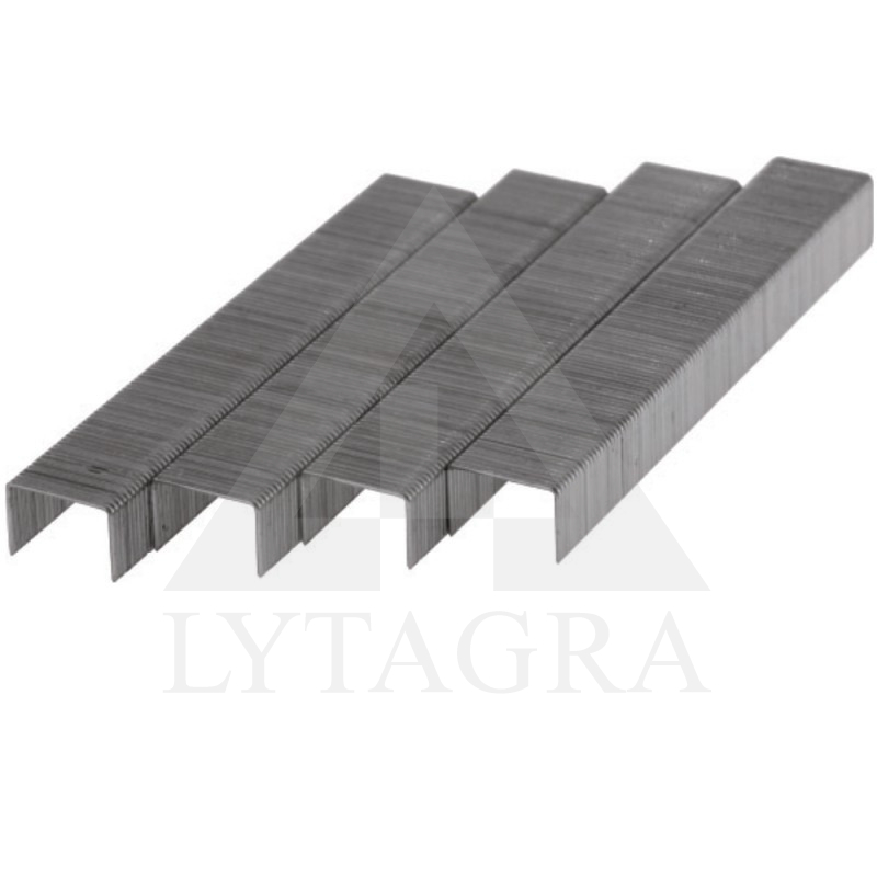 11Z106 SKAVAS NR.53 6MM 1000GB./ DEDRA