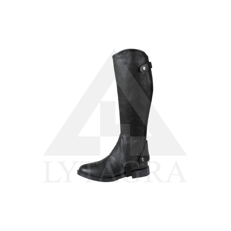 324031 AULA ZĀBAKIEM ELASTO M