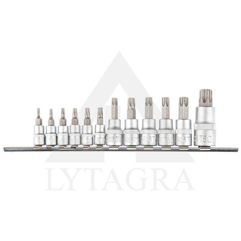 Uzgaļi ar Torx galvu un ligzdu T10-T40, 1/4"