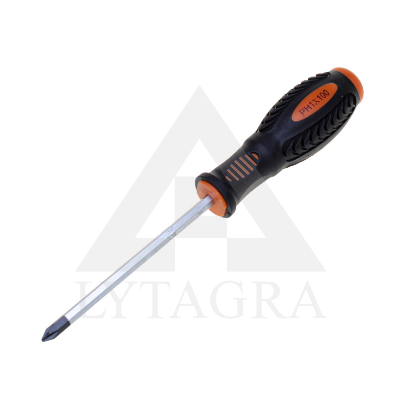 LB1709 SKRŪVGRIEZIS PH1x100MM / Stromtec