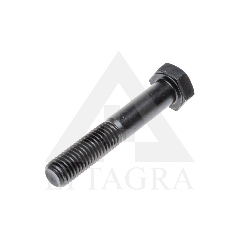SKRŪVE 12 X 80 /10.9 DIN 931