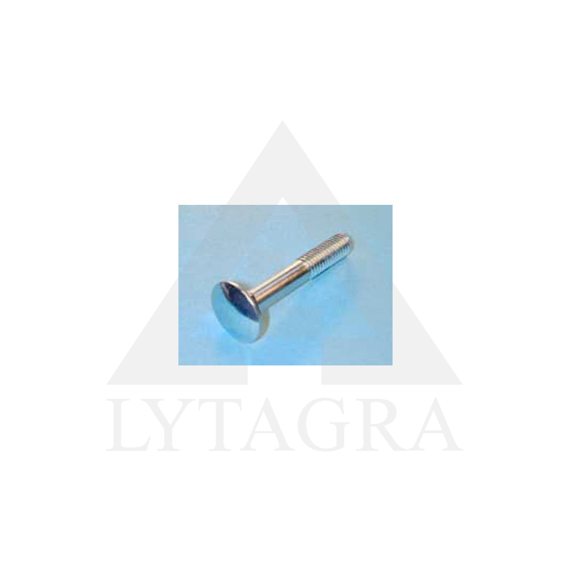 SKRŪVE DIN603 M8X120 ZN