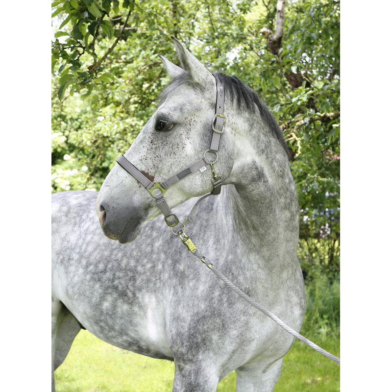 329912 APAUŠI F/S 18 COB COLLECTION