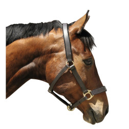 32265 APAUŠI ĀDAS BRŪNI PONY